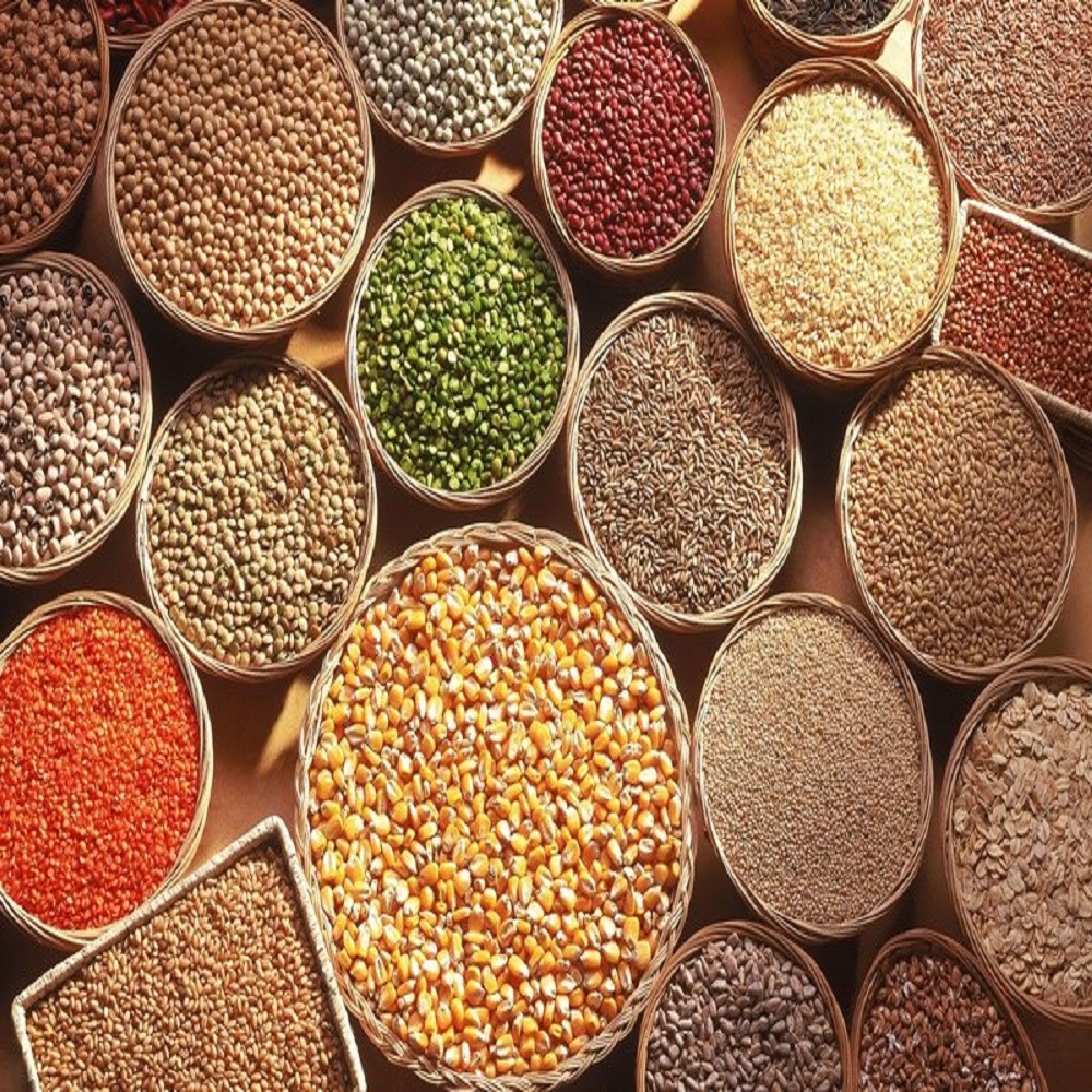 Millet Grains